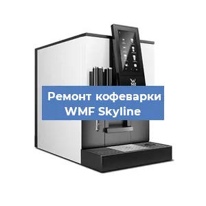 Чистка кофемашины WMF Skyline от кофейных масел в Челябинске